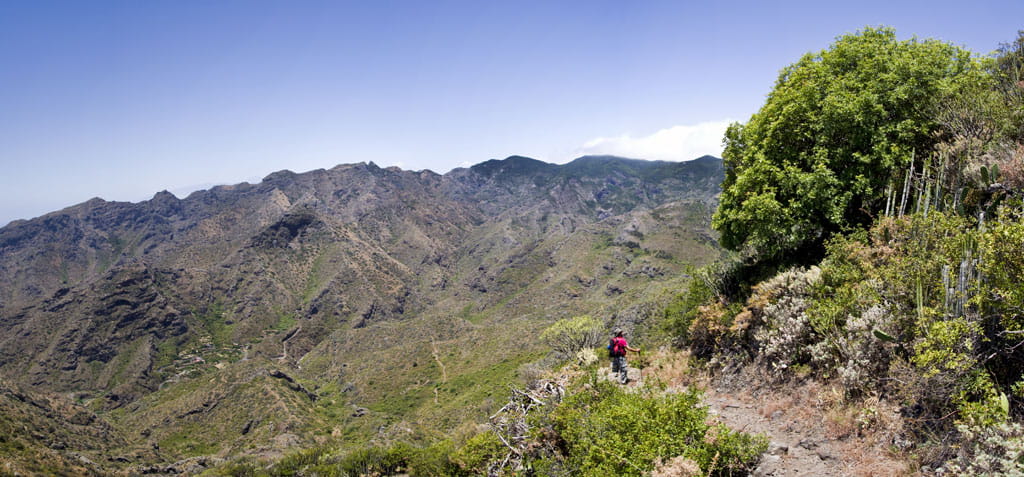 PR-TF 5 Chamorga - Igueste de San Andrés