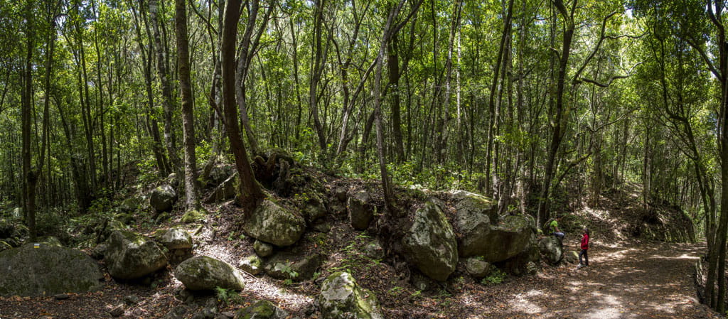 PR-TF 52 Erjos - Las Portelas (Monte del Agua)