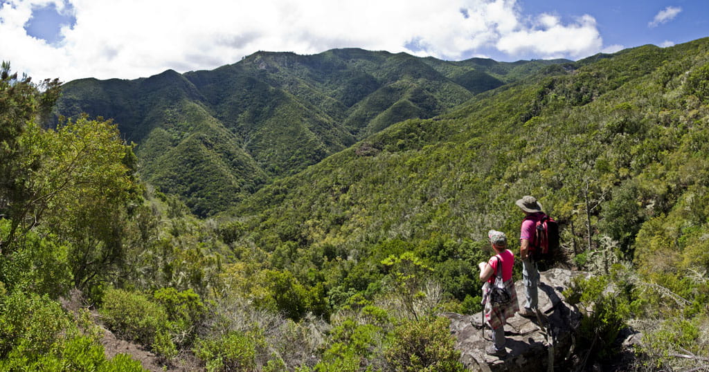 Wanderweg in Anaga, Teneriffa, mit zwei Wanderern, die grüne Berge beobachten.
