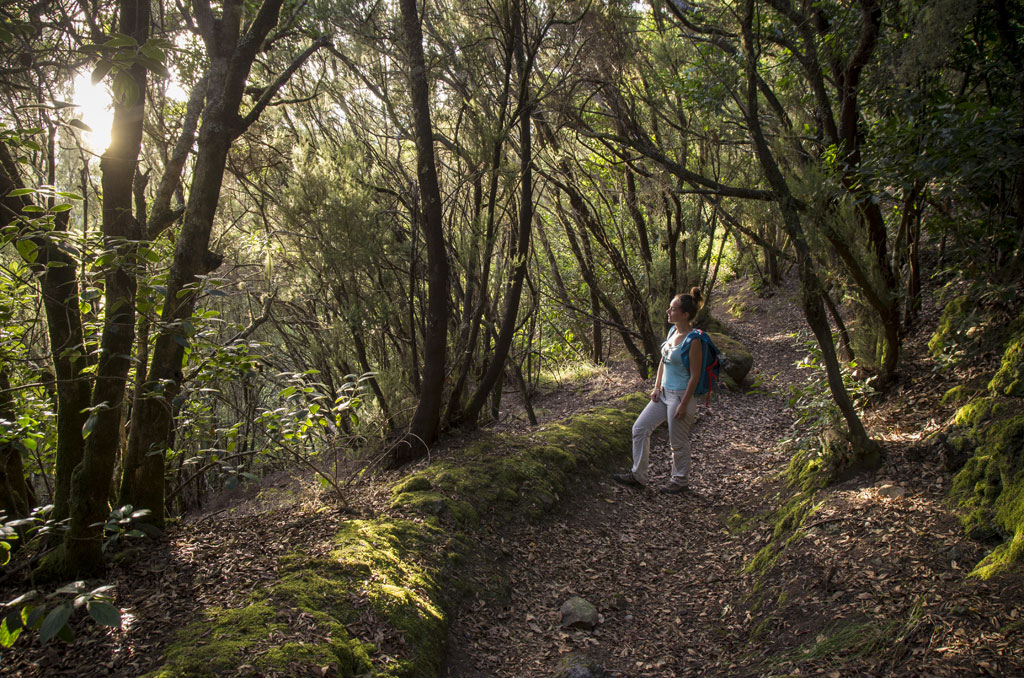 PR-TF 56 El Palmar - Cumbre de Bolico