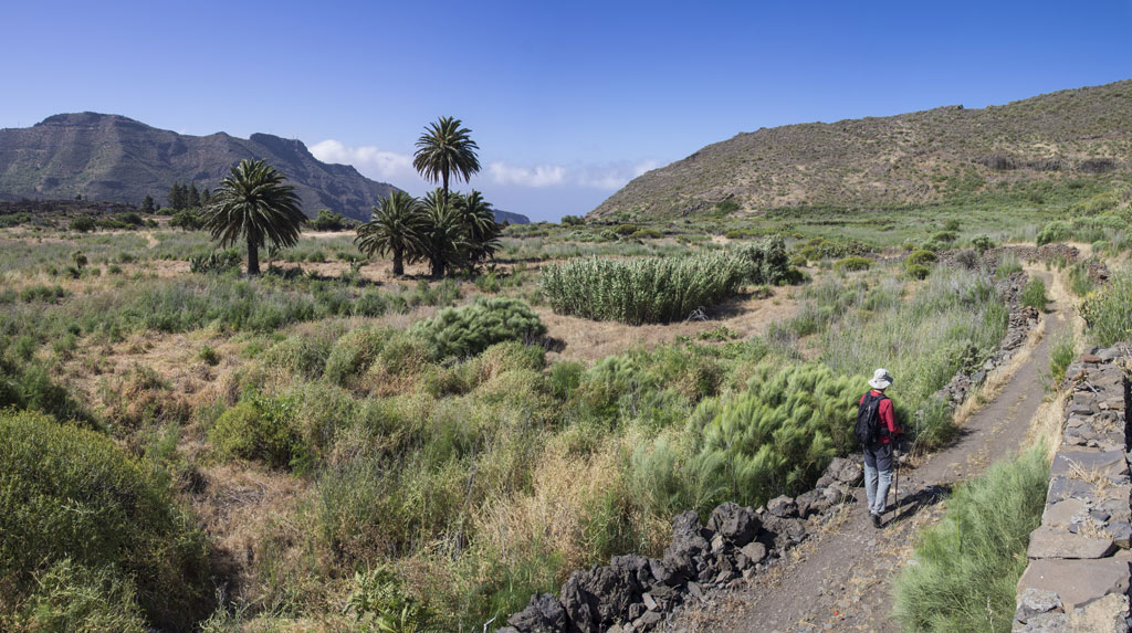 Weg zwischen Palmen in einem bergigen Tal von Teneriffa.