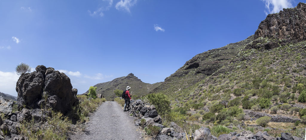 Bergweg mit einer Person zu Fuß, umgeben von Felsen und Vegetation auf Teneriffa.