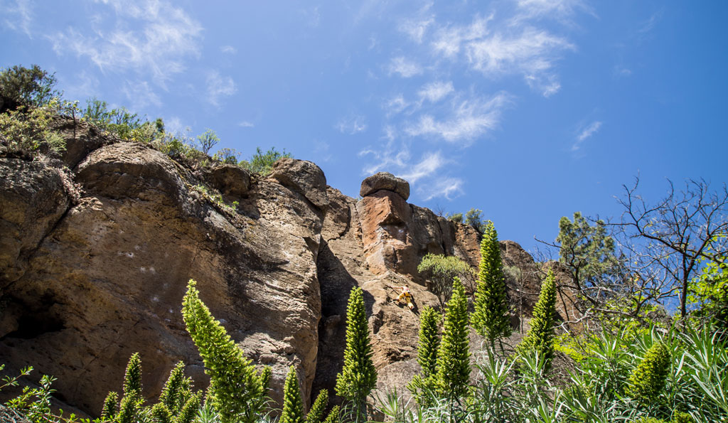Felsen und Pflanzen unter blauem Himmel in einer Landschaft von Teneriffa.