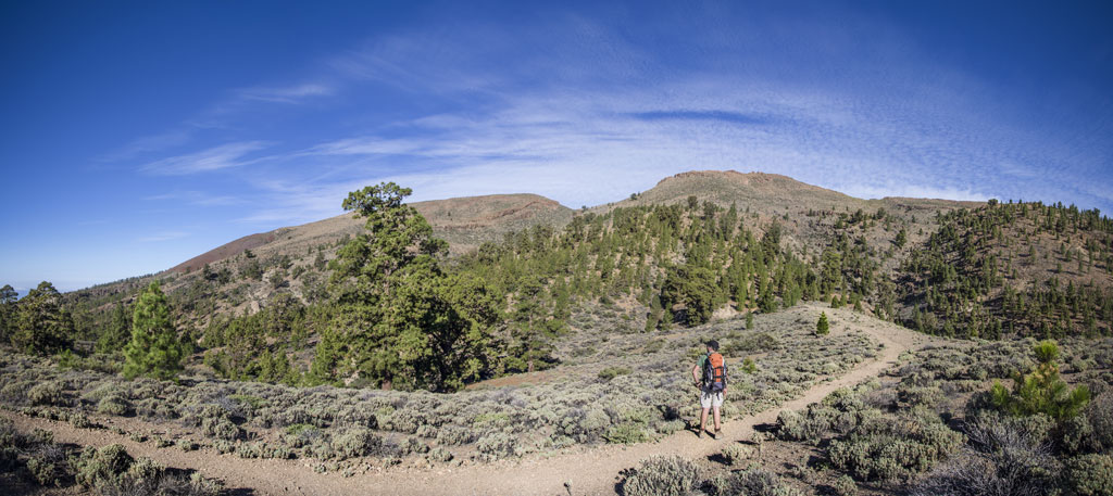 Wandern Sie in die Berge in einer natürlichen Landschaft von Teneriffa.