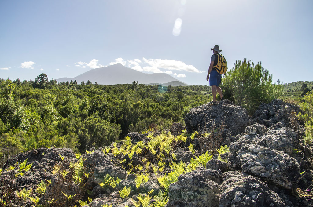 Person mit Rucksack, die die bergige Landschaft Teneriffas betrachtet.