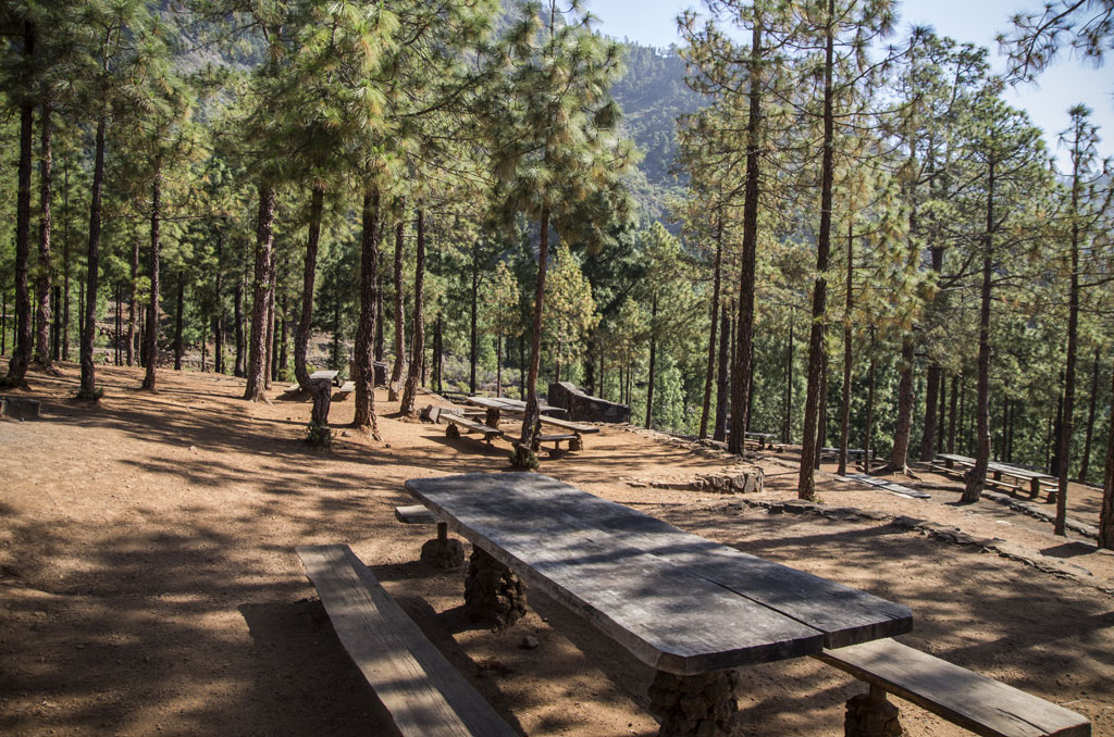 Picknickplatz mit Holztischen zwischen Kiefern in einem Wald auf Teneriffa.