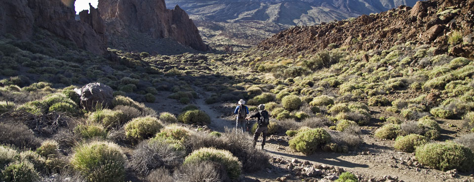 3. Roques de García