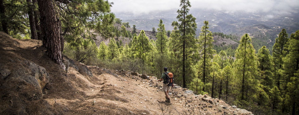 PR-TF 86 Villa de Arico - Cumbre de Arico