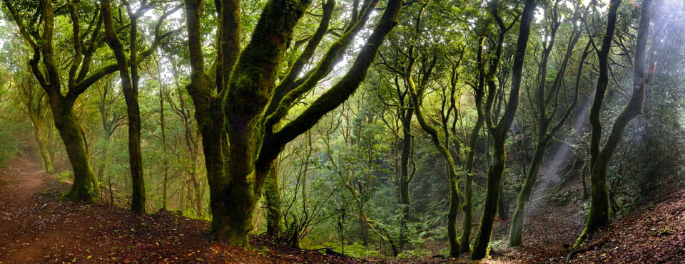 Así era el mundo antes