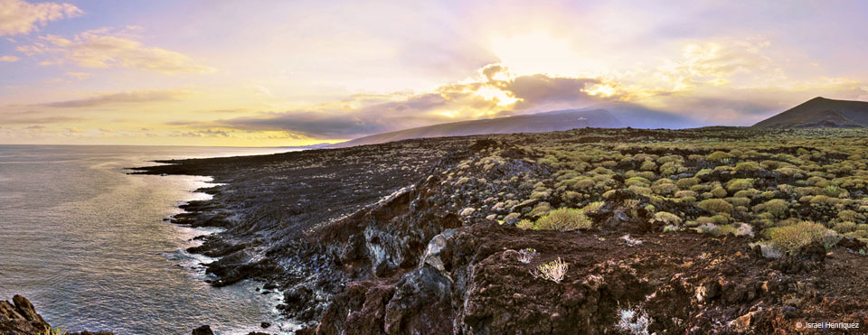Ponte a punto en medio de la naturaleza