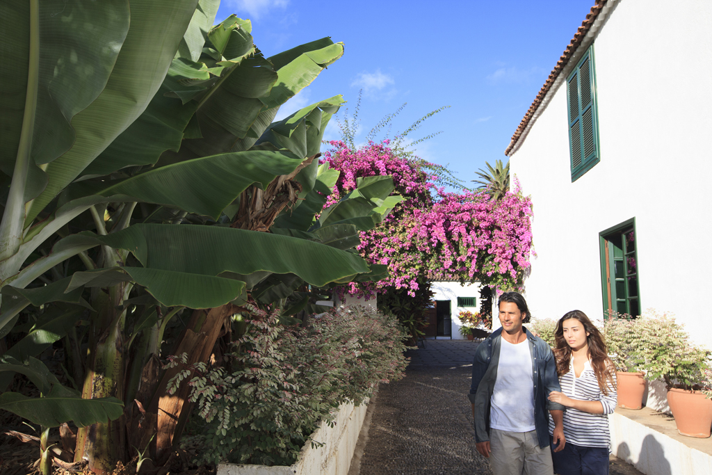 Ein Paar, das neben Bananenbäumen und Bougainvillea auf Teneriffa spazieren geht.