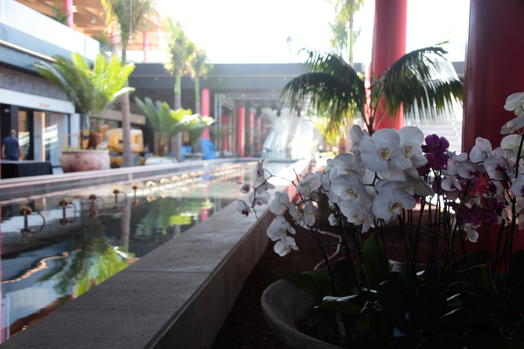 Weiße und violette Orchideen in einem Einkaufszentrum auf Teneriffa.