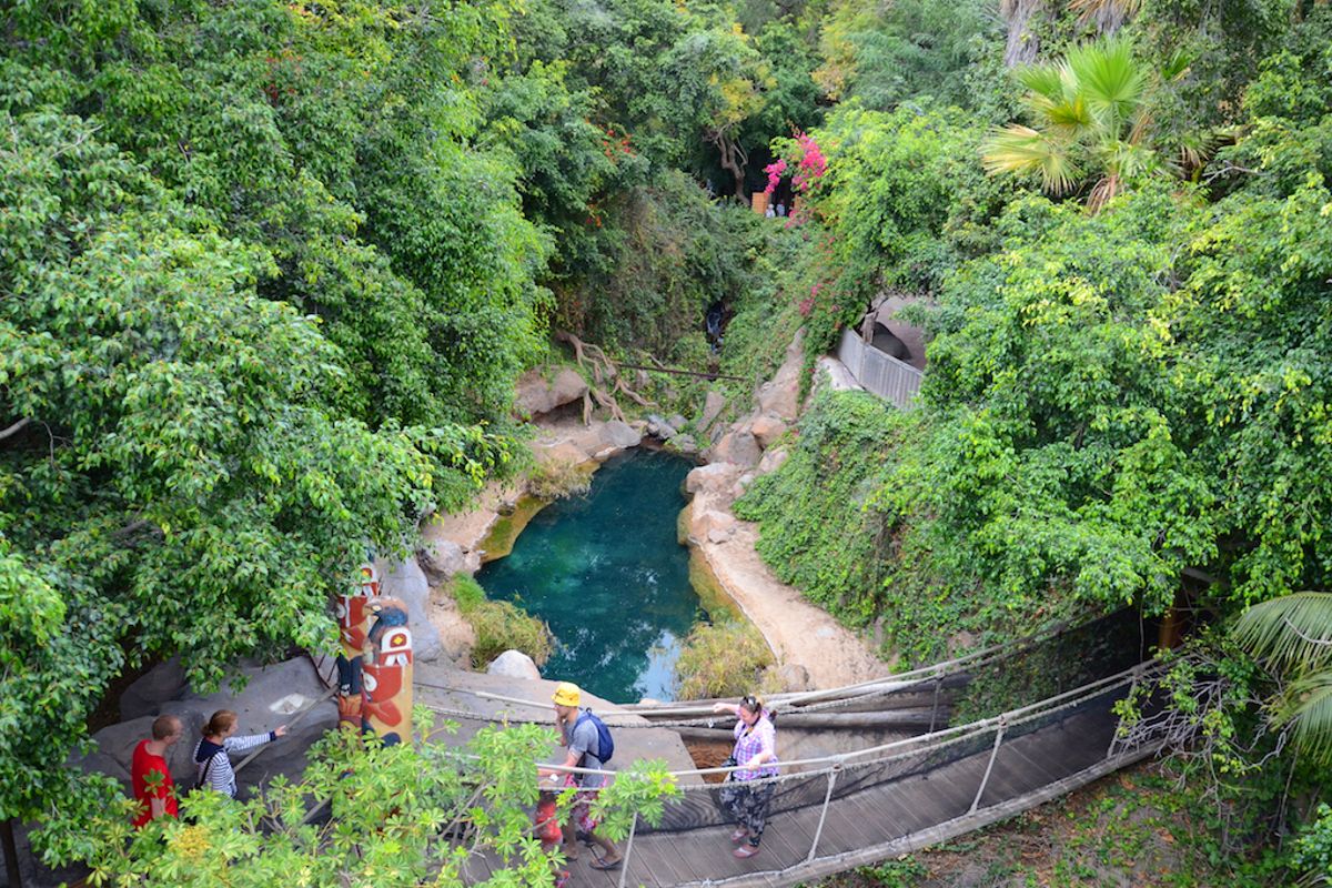 Hängebrücke über einen von Vegetation umgebenen Teich auf Teneriffa.