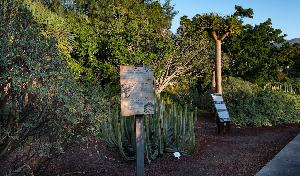 Informatives Zeichen zwischen Kakteen und Pflanzen im Botanischen Garten von Teneriffa.