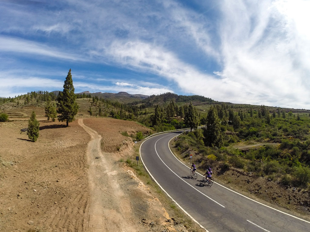 Radfahrer fahren einen geschwungenen Weg, umgeben von Bäumen, in einer Landschaft von Teneriffa.