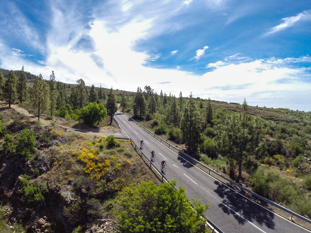 Eine Straße, umgeben von Bäumen und Radfahrern in Bewegung auf Teneriffa.