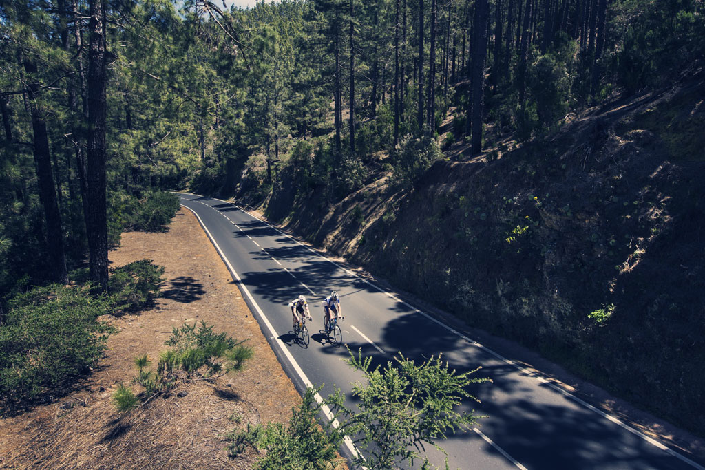 Radfahrer auf einer von Bäumen umgebenen Straße auf Teneriffa.