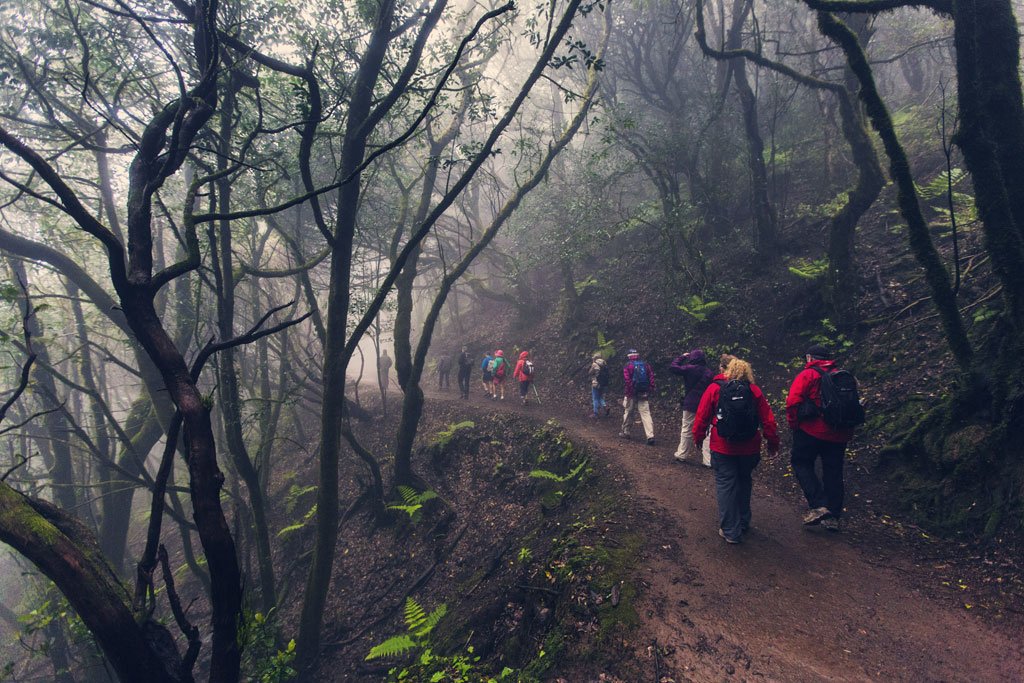 09-senderismo-parque-rural-anaga-laurisilva.jpg