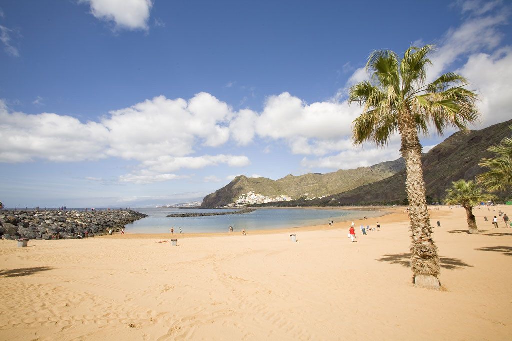 Der Strand Las Teresitas mit Bergen und Palmen im Hintergrund auf Teneriffa.