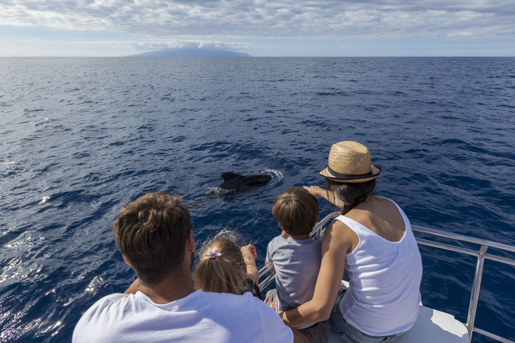 Familie beobachtet Delfine im Meer nahe Teneriffa von einem Boot aus.