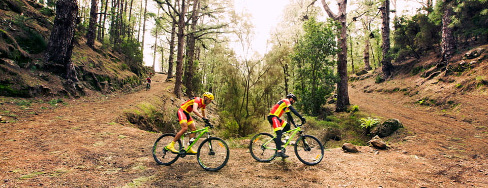 BC-2: Monte de La Esperanza