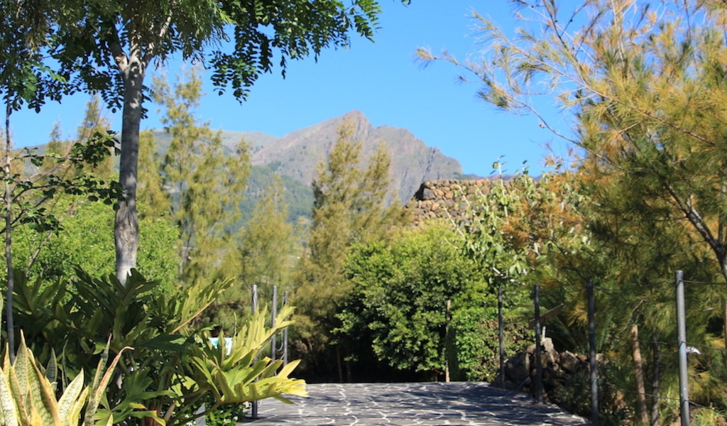 Kopfsteinpflasterweg, umgeben von Bäumen, mit Bergen im Hintergrund auf Teneriffa.