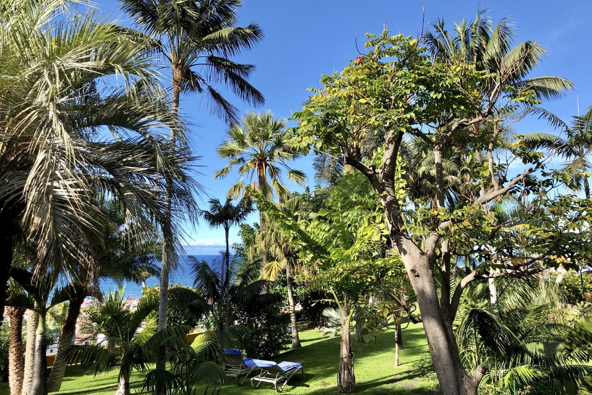 Palmen und Bäume mit Blick auf das Meer in einem Garten auf Teneriffa.