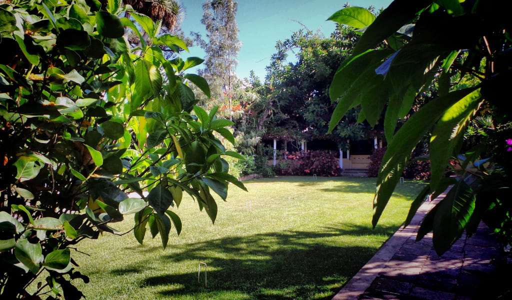 Garten mit Rasen und Bäumen in einem Park auf Teneriffa.