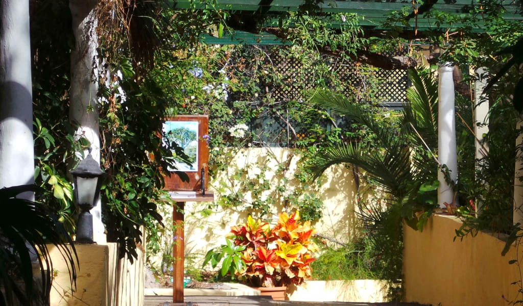 Terrasse mit Pflanzen und Gemälden im Botanischen Garten von Teneriffa.
