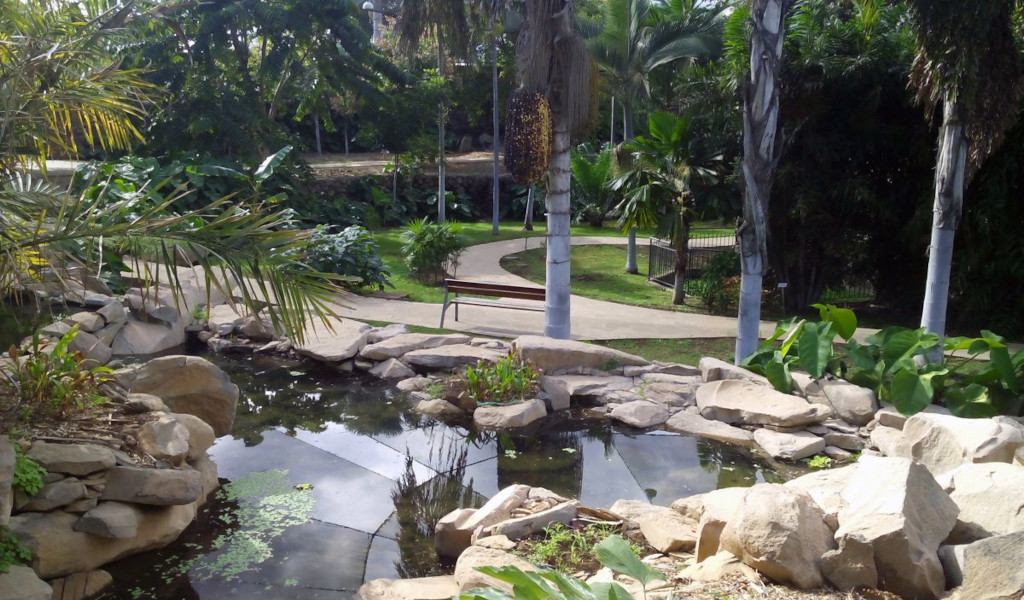 Tropische Gärten mit Teich und Wegen in Puerto de la Cruz, Teneriffa.