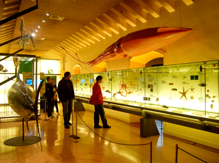 MUNA, Museo de Naturaleza y Arqueología