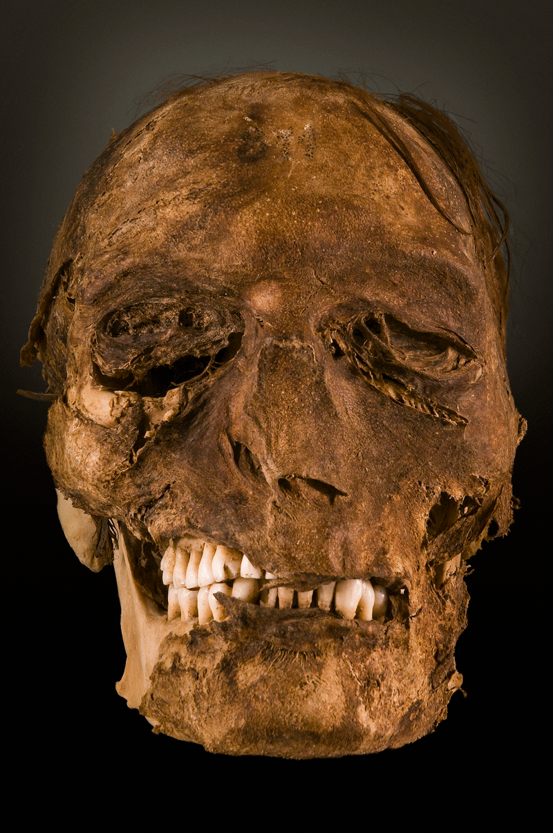 Schädel in einem Museum auf Teneriffa ausgestellt.