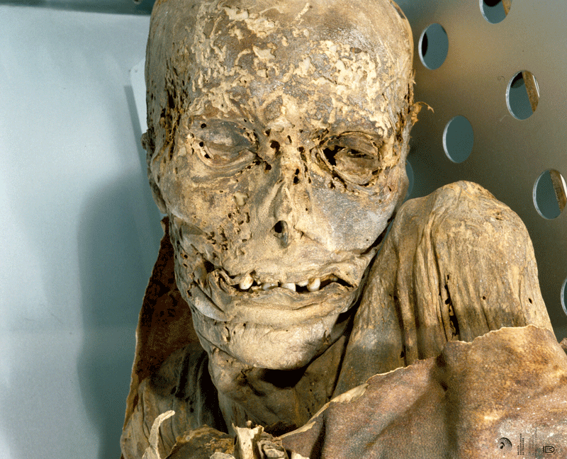 Guanche-Mumie in einem Museum auf Teneriffa, mit sichtbaren Details im Gesicht und am Körper erhalten.
