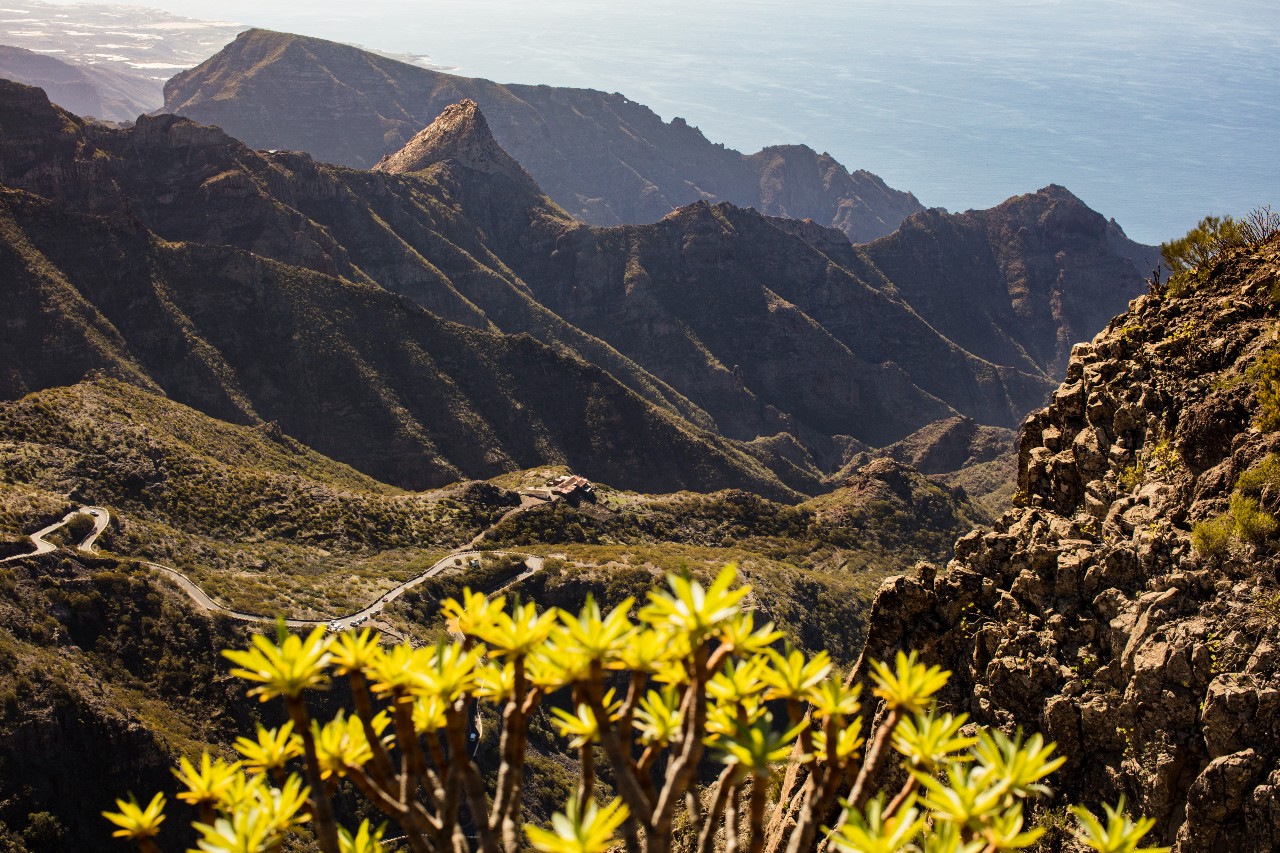 Panoramablick auf den Berg auf Teneriffa, mit einer gewundenen Straße und Blumen im Vordergrund.
