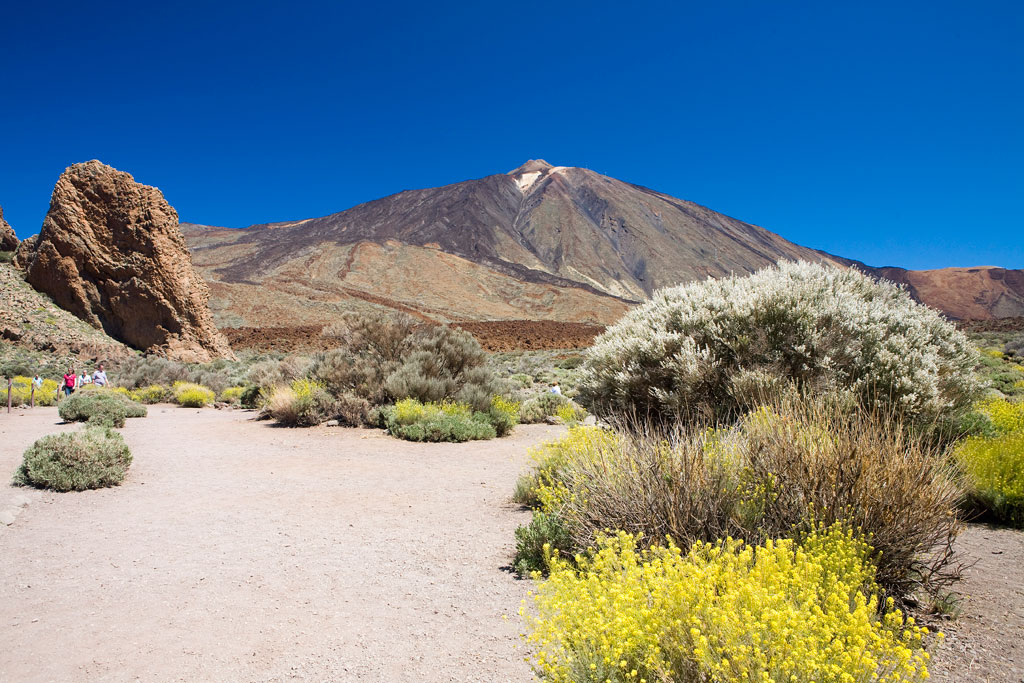 Pfad mit Pflanzen und dem Teide-Vulkan im Hintergrund, auf Teneriffa.