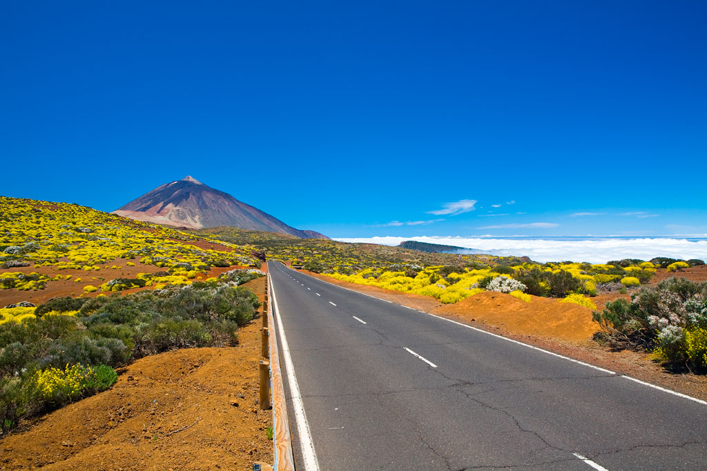 Straße zum Teide auf Teneriffa, umgeben von Vegetation und klarem Himmel.