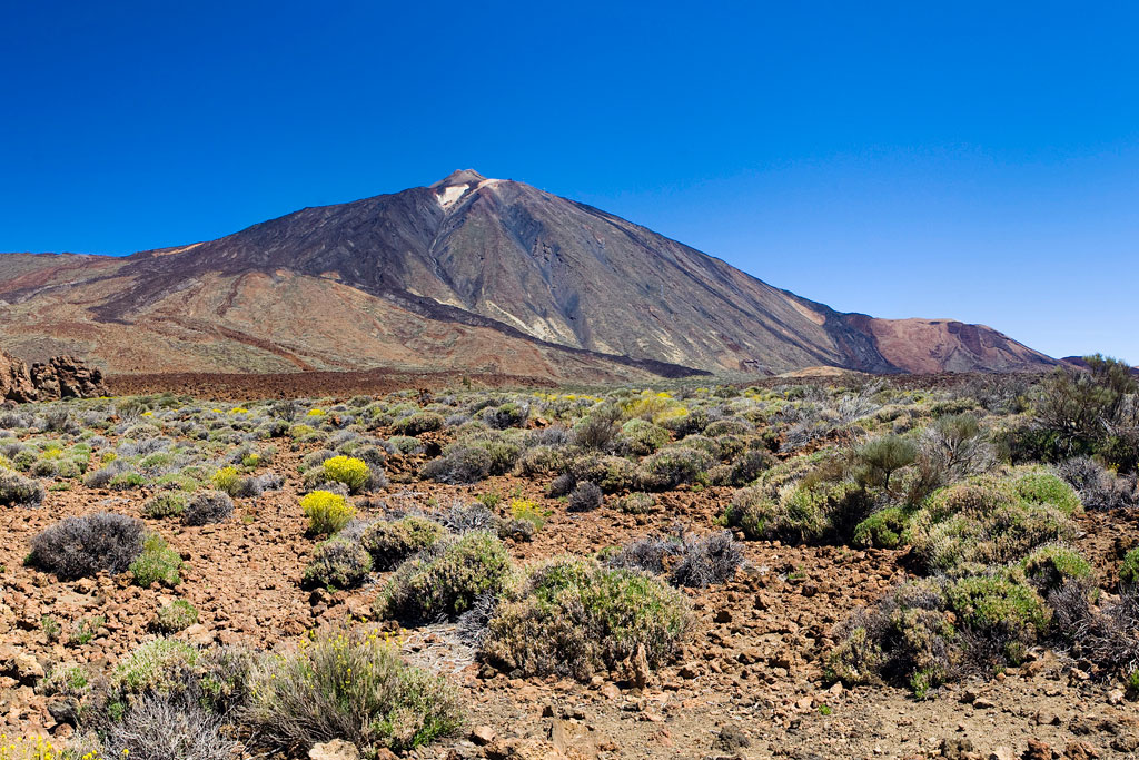 Landschaft des Berges Teide auf Teneriffa mit Vegetation und klarem Himmel.