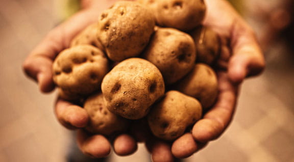 Productos de Tenerife 5