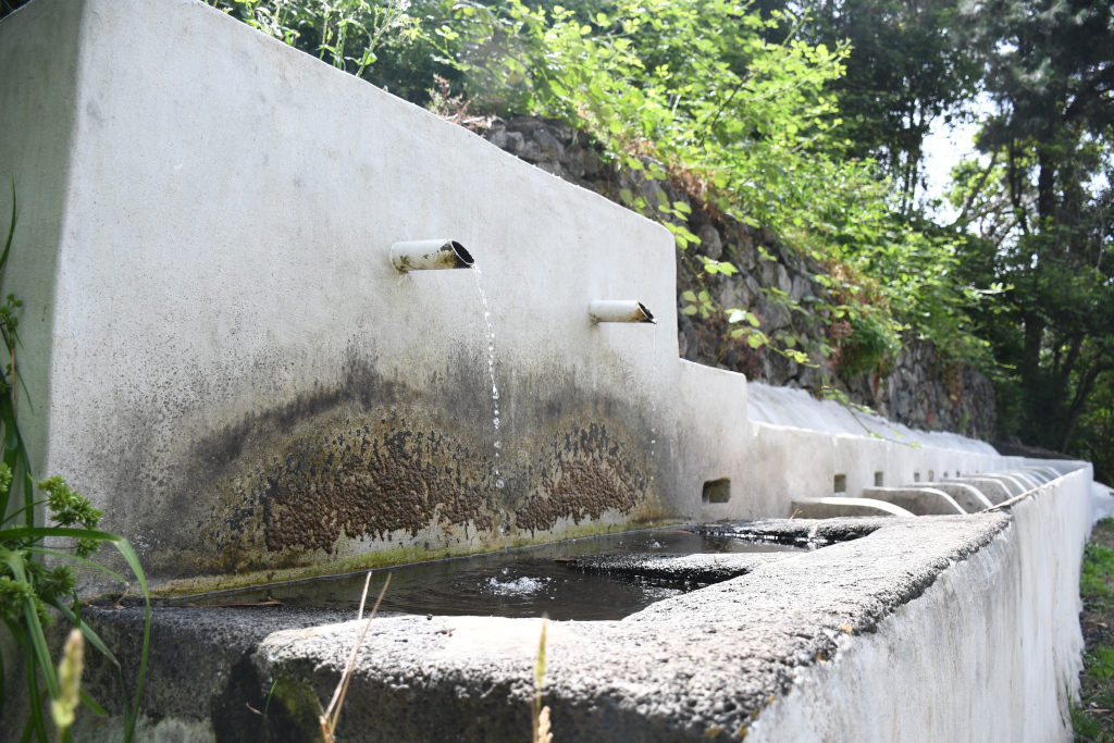 Wasserbrunnen auf dem Land in La Laguna, Teneriffa, umgeben von Grün.