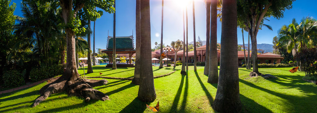 Garten mit Palmen und ein Gebäude in einem Park auf Teneriffa unter der Sonne.