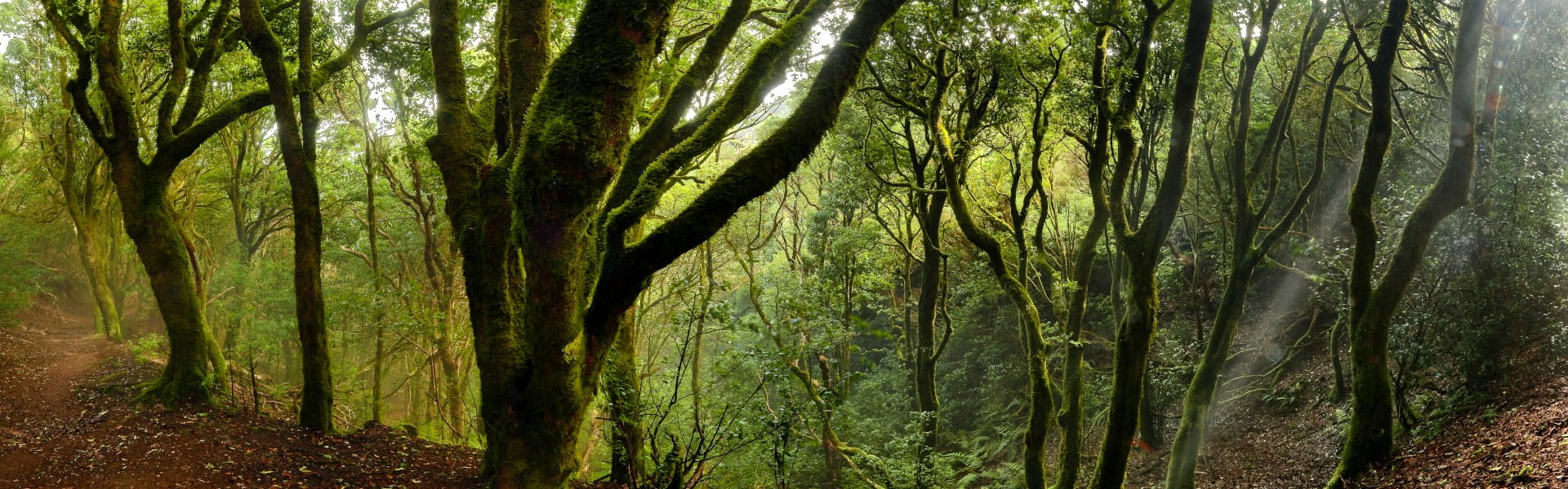 Parque rural de anaga