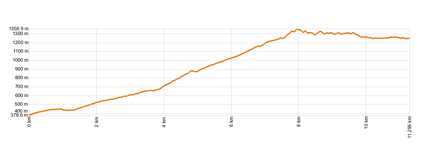 Altimetría PR-TF 86.2 Arico Nuevo - Area Recreativa El Contador