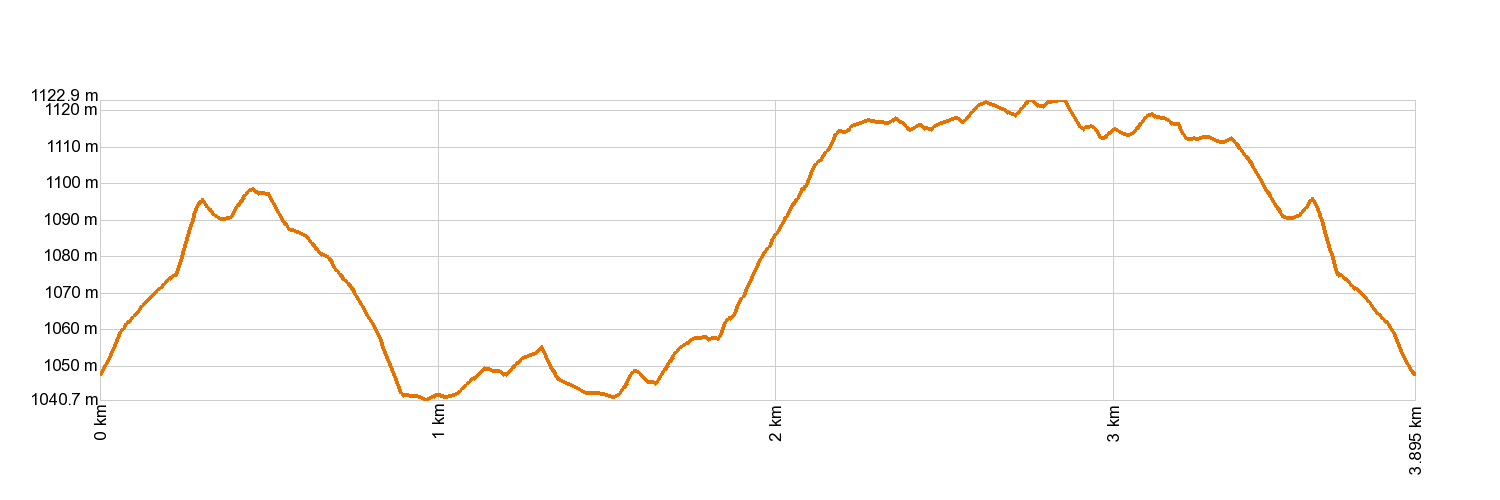 Altimetría SL-TF 81 Camino La Orilla del Monte