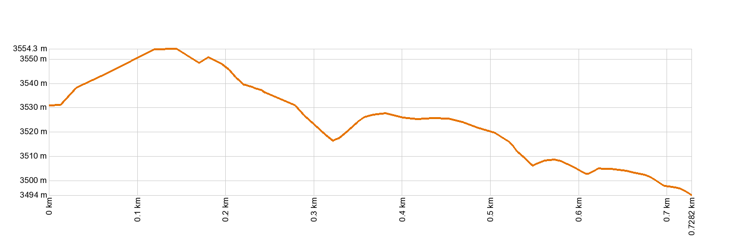 Altimetría 12. Mirador de Pico Viejo