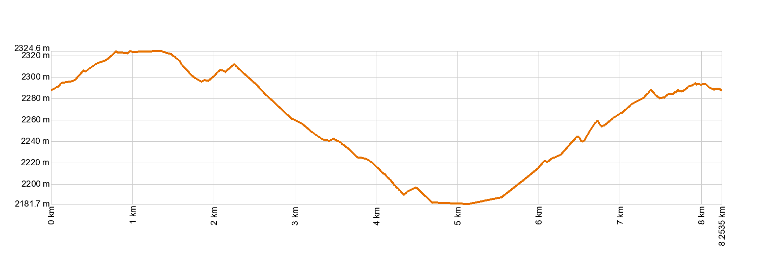 Altimetría 20. Volcán de Fasnia
